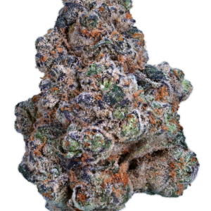 East Side OG x Gary Payton